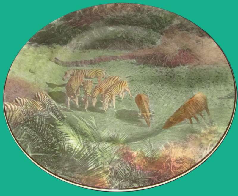 Wall Decor-Royal Doulton Plate-African Series-Game at drinking Pool-African Game Reserve-D6361