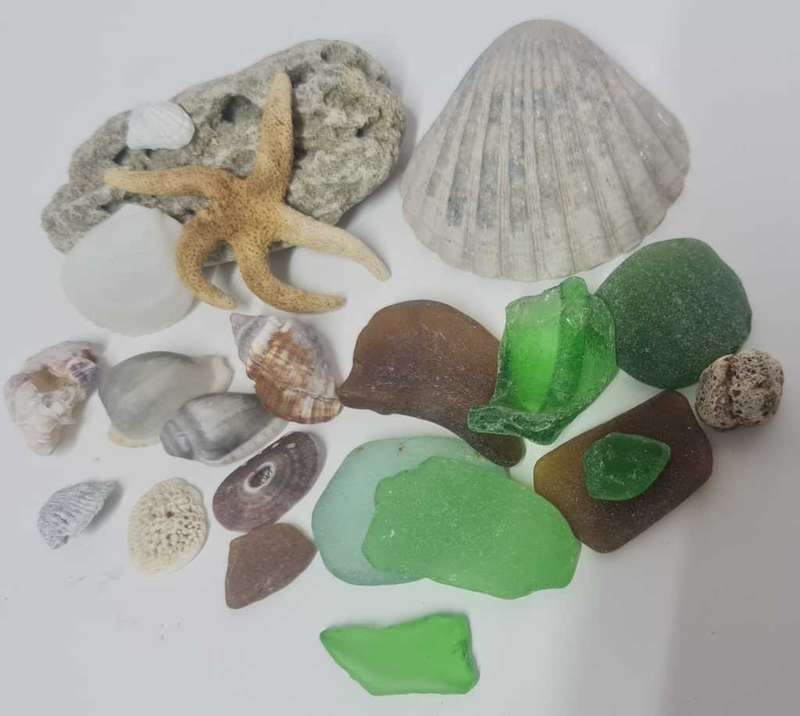 Sea shells and sea glass