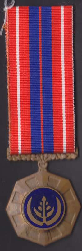 Pro Patria medal, numbered