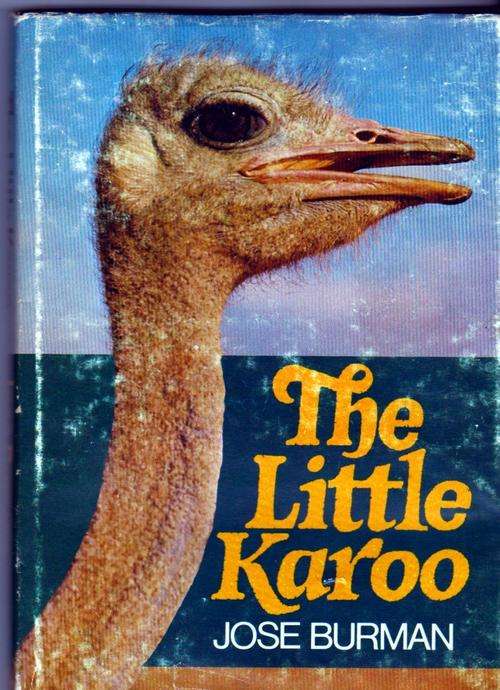 The Little Karoo by Jose Burman