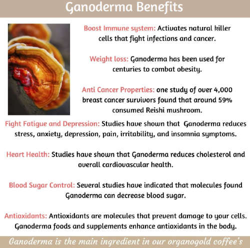 Organo Organic Ganoderma Lucidum Spore Powder