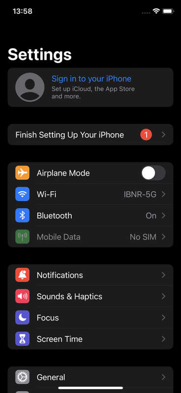 iPhone