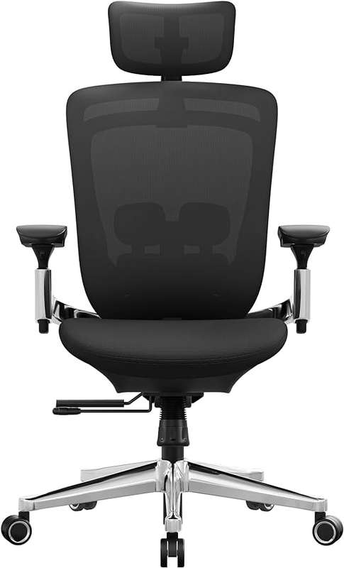 GOF Furniture  Tundra Executive Chair