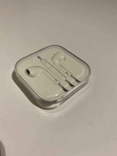 Apple Earphones