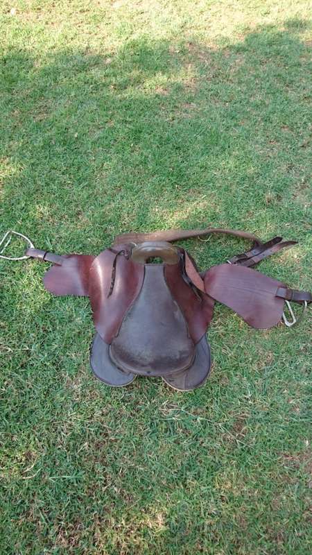 Horse Saddle