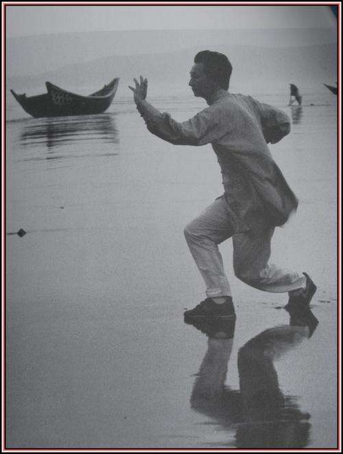 The Essence of Tai-Ji By Chungliang Al Huang. Paperback. 1987