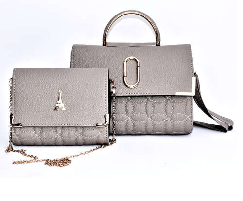 Chic 2 in 1 Handbag Set