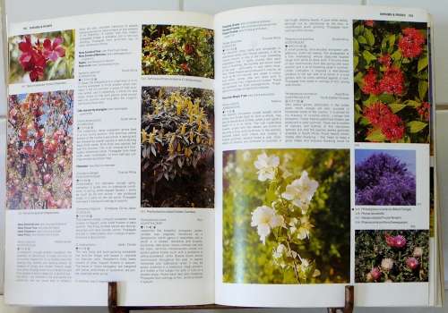 The A-Z of Gardening in South Africa by W.G. Sheat
