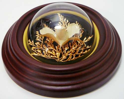 Natures Creations - Dendrobium Orchid with 24 k Gold Plated Fern in Plastic Frame