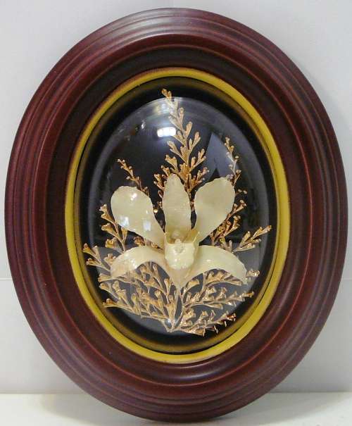 Natures Creations - Dendrobium Orchid with 24 k Gold Plated Fern in Plastic Frame