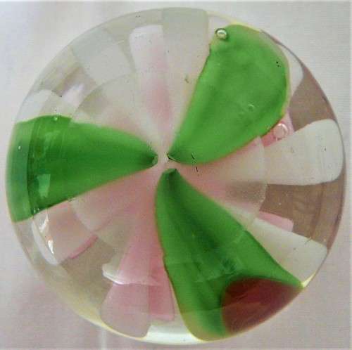 A Gorgeous Pink Water Lily in a Glass Paperweight