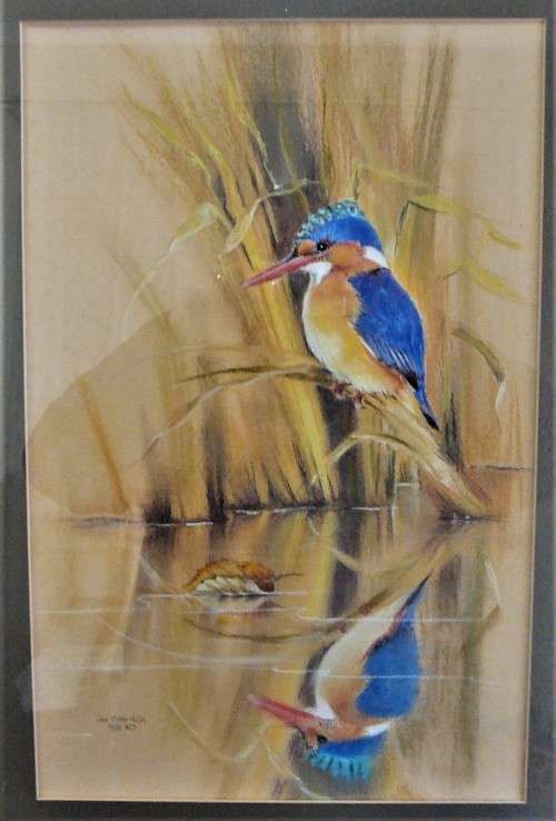 The Malachite Kingfisher, an Original Pastel by Pat Myburgh