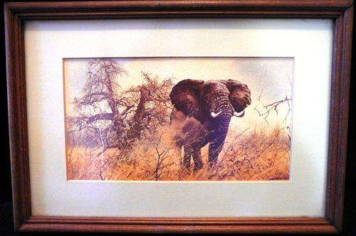 Stunning Picture "African Elephant"
