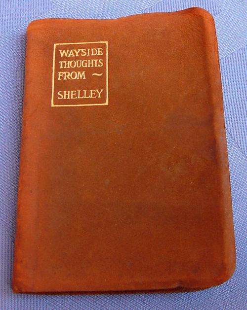 Wayside Thoughts from Shelley
