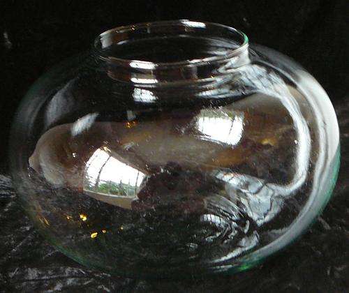 Stunning Glass Vase