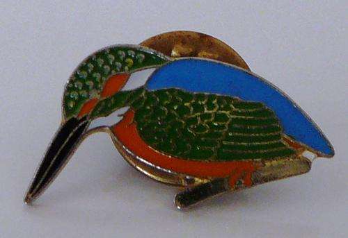 Kingfisher Lapel Pin Badge