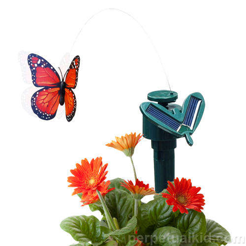 Solar Butterfly - Garden Butterfly - Set of 2