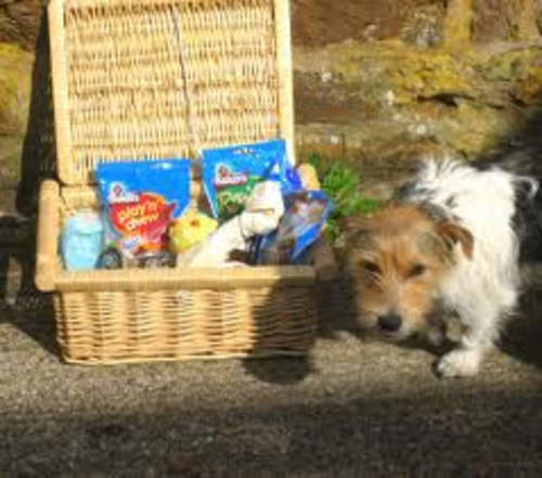 A Mens Best Friends Hamper