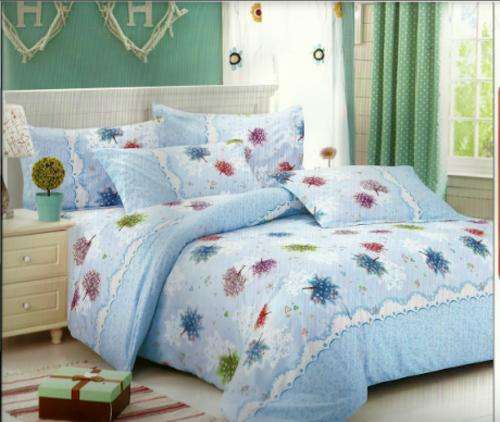 6 Piece Lovely light Blue Print Duvet Cover Set - QUEEN