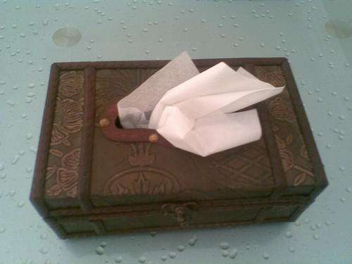 Wooden Tissue Box - ABSOLUTELY STUNNING