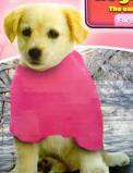 Pink cozy blanket for your BEST FRIEND