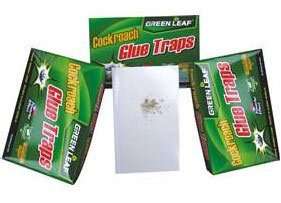 Cockroach Glue Traps - NO MORE NASTY BUGS!!
