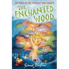 The Enchanted Wood