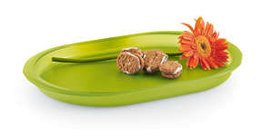 TUPPERWARE SERVING TRAY