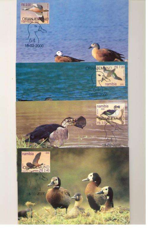 NAMIBIA 2000 DUCKS OF NAMIBIA SET OF MAX CARDS
