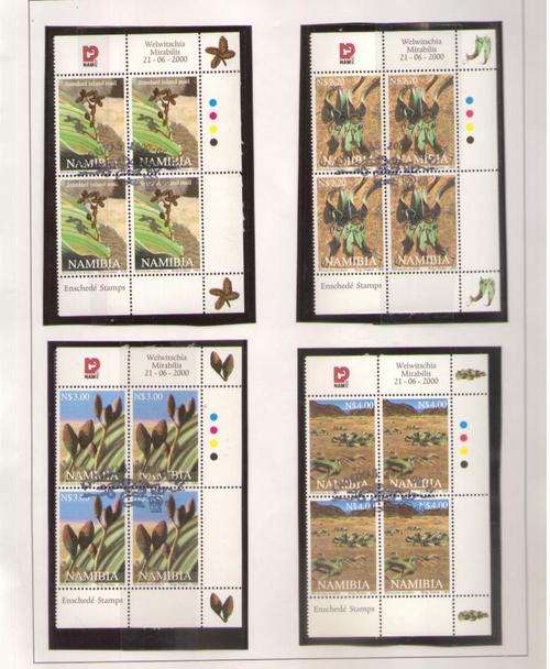 NAMIBIA 2000 WELWITSCHIA  SET OF C/BLOCKS CTO