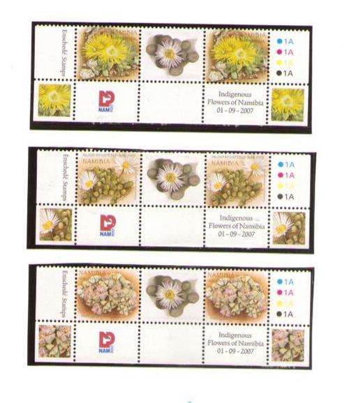 2007. INDIGENOUS FLOWERS OF NAMIBIA GUTTER C/B OF 2 MINT
