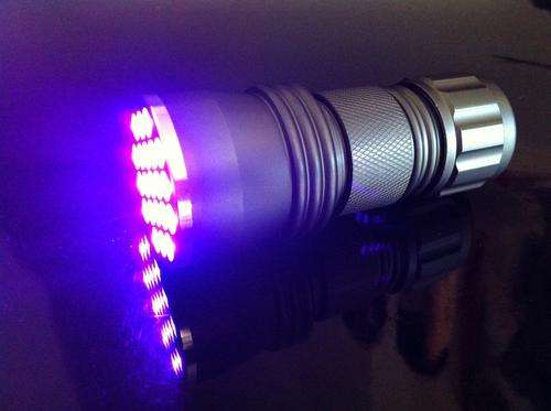 UV Ultraviolet 21 LED Flashlight Torch