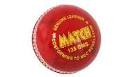 B & S Cricket Ball
