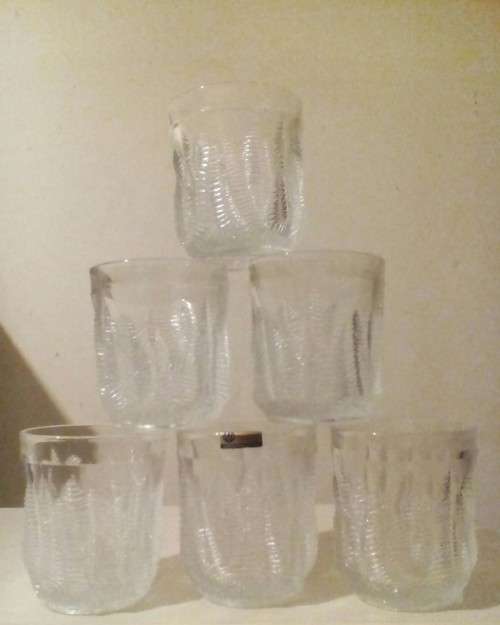 Set of six  BOHEMIAN HAND MADE TUMBLERS. Fern leaf pattern.