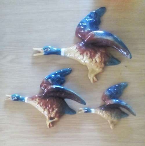 Set of three 1960s flying Mallard duck wall plaques. Very good condition. Buy Now option.