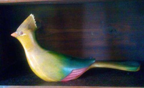 Hand carved Feathers of Knysna Loerie