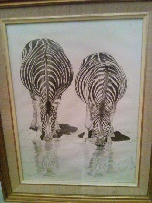 The most incredibly detailed pencil sketch of zebras by Anna van Zyl!!!