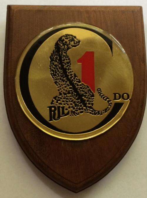 SCARCE RHODESIA LIGHT INFANTRY / 1st COMMANDO - BADGE ON PLAQUE