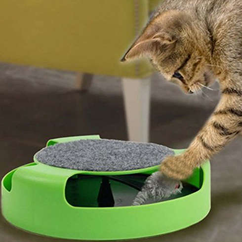 CATCH THE MOUSE