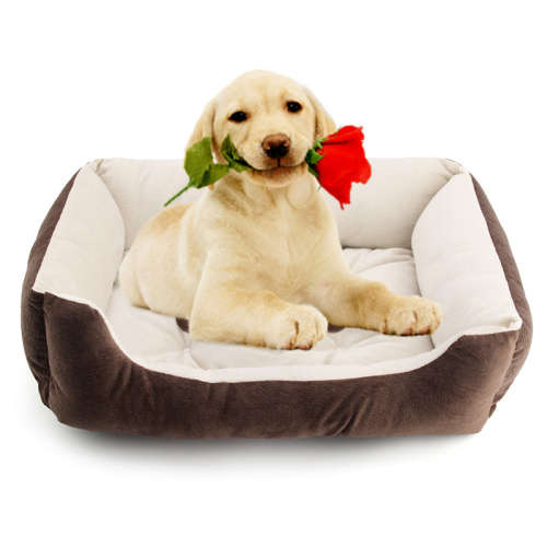 LARGE SUPER COMFY PET BED