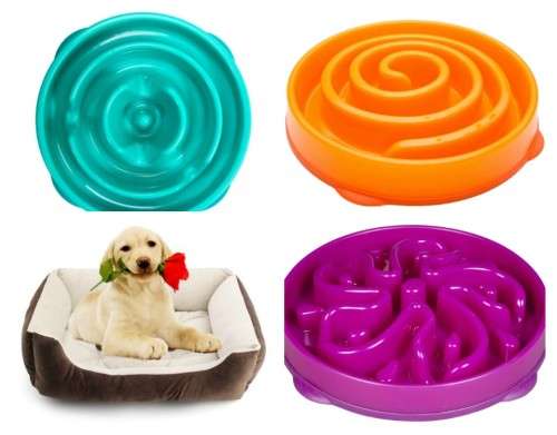 Dog Comfy Bed & Slo-Bowl Feeder Combo