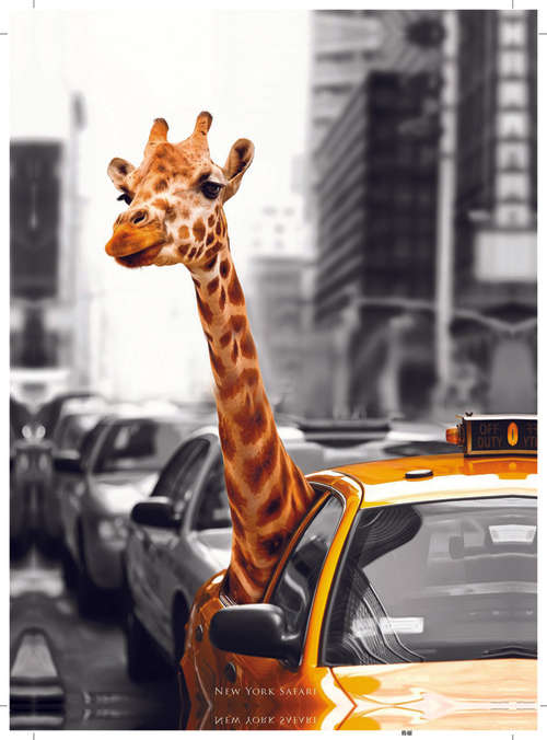 50CM x 70CM New York Safari Canvas Print