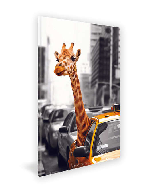 50CM x 70CM New York Safari Canvas Print