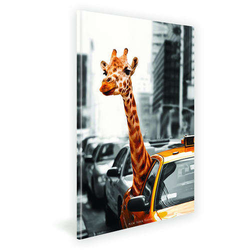 Canvas Prints 50CM X 70CM