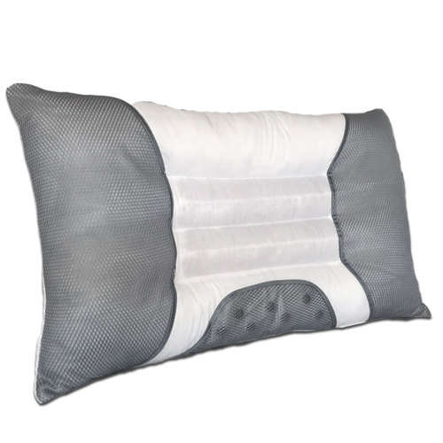 InstaSleep Contoured Cassia Magnet Pillow Set of 2