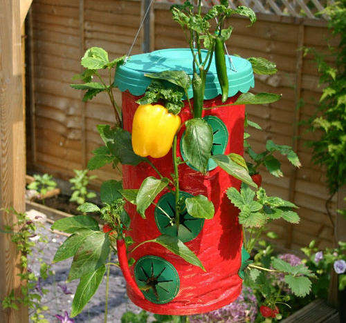 2 xTopsy Turvy Strawberry planters