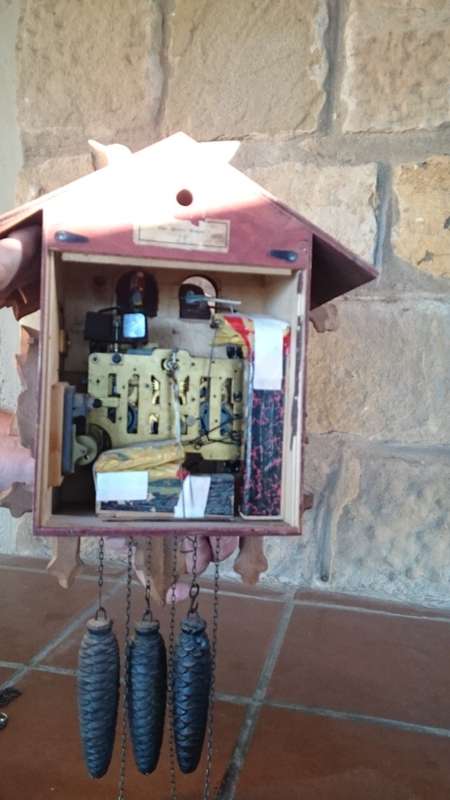 Cuckoo clock