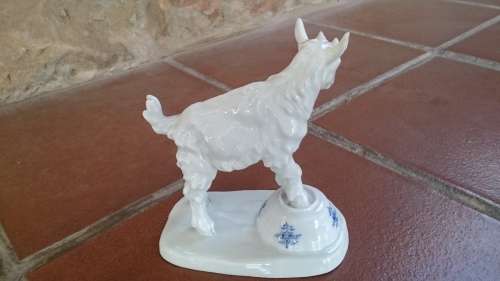 Meissen goat