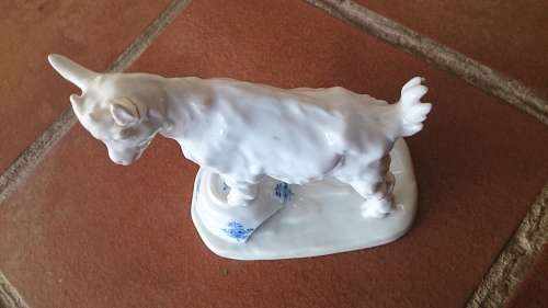 Meissen goat