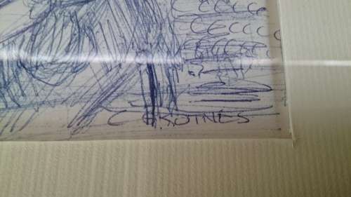 Skotnes